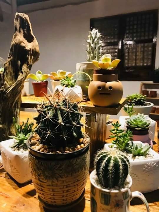 Samkara Restaurant And Garden Resort Lucban Екстер'єр фото